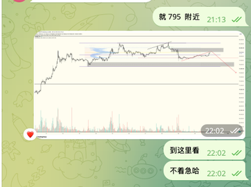 A Telegram chat screenshot showing a stock chart with messages in Chinese including '就795 附近' (near 795) at 21:13, and responses '到这里看' (come here to see) and '不着急哈' (no rush) at 22:02.
