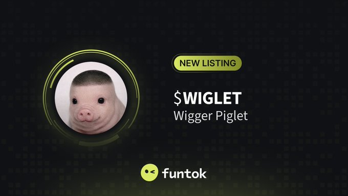 A 'funtok' new listing page for the meme coin 'WIGLET' (Wigger Piglet), featuring a piglet photo.