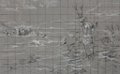 A small, blurry grayscale image that appears to show a textured or patterned surface with no clearly identifiable subject.