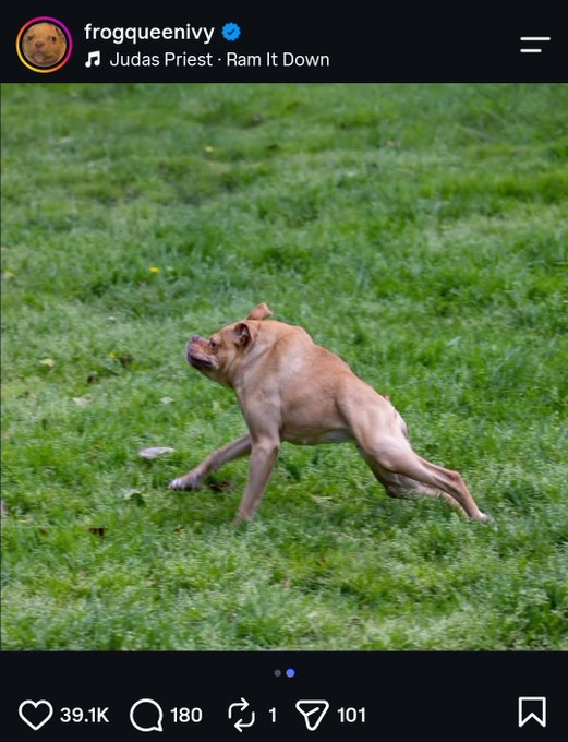 An Instagram-style screenshot from user 'frogqueenivy' showing a muscular, tan French Bulldog posing in a grassy field, with 'Judas Priest · Ram It Down' as the background music and 39.1K likes.