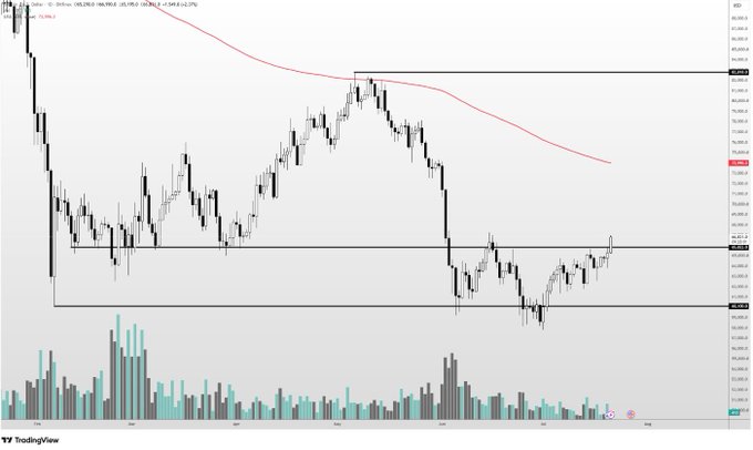 A candlestick chart of Bitcoin (BTC) from TradingView showing a downtrend with a red 200-day moving average and horizontal support/resistance levels, with price near $54,982.