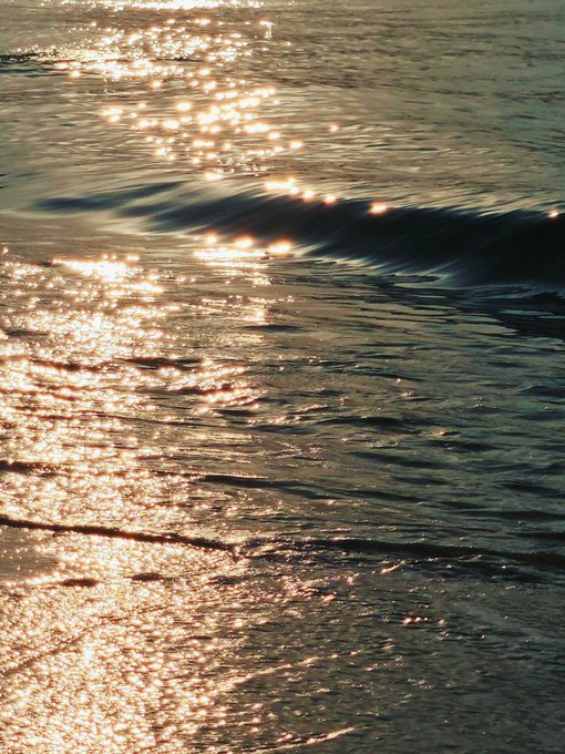 A close-up of ocean waves gently rolling toward the shore, with sunlight reflecting brightly off the rippling water surface during golden hour.