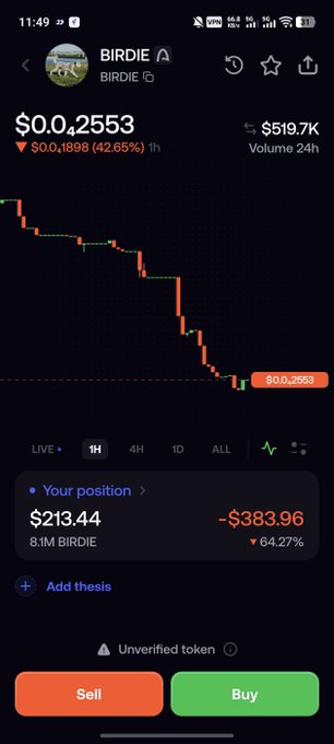 A user displays a screenshot of a trading app showing their position in the meme token BIRDIE, with the price chart showing a steep decline from its all-time high. The position is down 64.27% to $213.44, illustrating the painful experience of buying into hyped new tokens that dump quickly after launch, perfectly capturing the frustration described in the post about new projects being rugged right after entry.