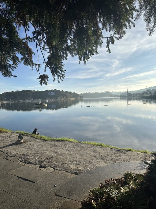 The image shows a person sitting by a lake with their back to the camera, enjoying the view and taking in the peaceful surroundings. There are also some plants visible near the water's edge. The scene captures a moment of relaxation and contemplation as the individual appreciates nature.