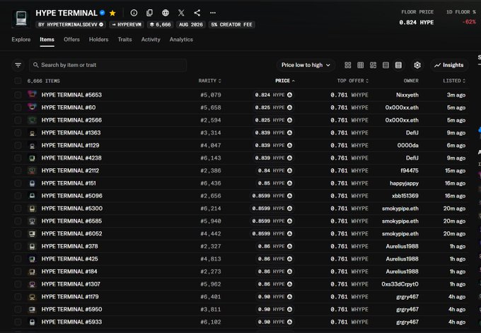 A screenshot of the HYPE TERMINAL NFT marketplace on HyperEVM showing 6,666 items with floor price 0.824 HYPE, -62% change, displaying listings with rarity, price, top offer, and owners.
