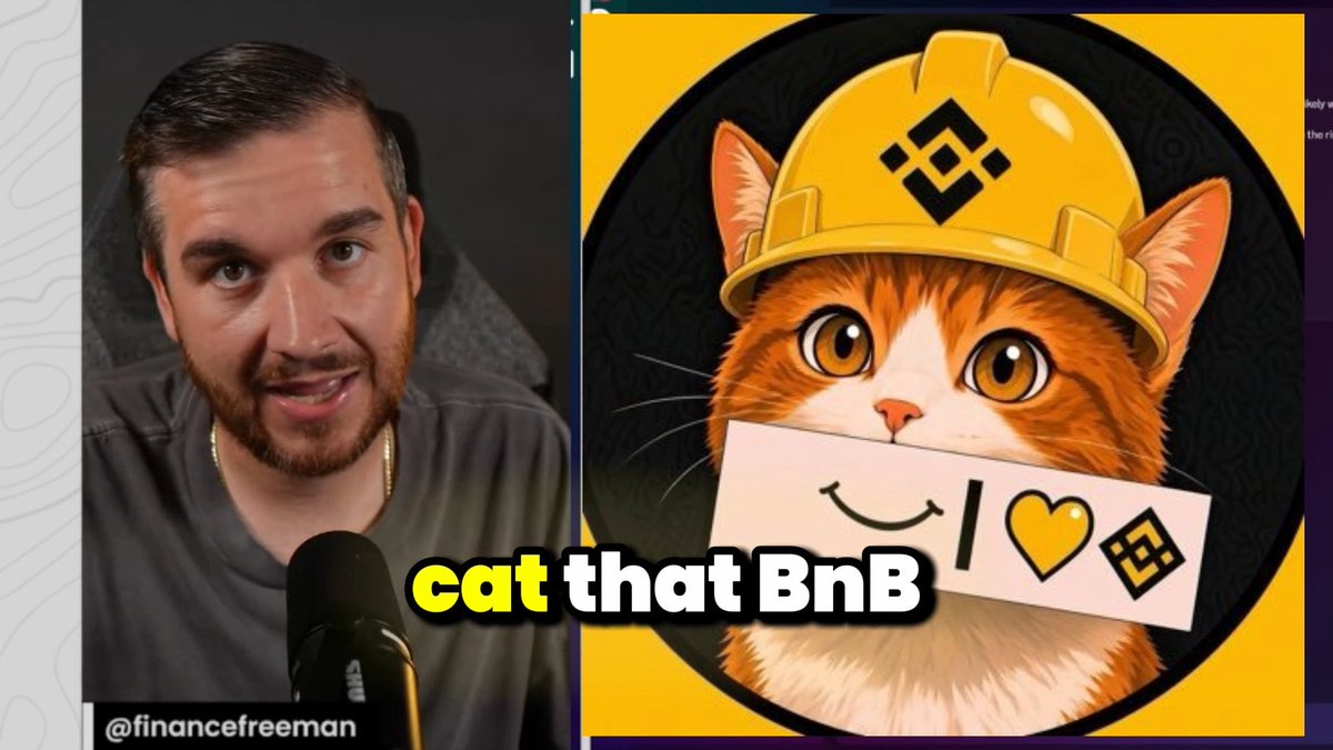 A man in a gray shirt is shown on the left, while the right displays a cartoon cat wearing a yellow Binance hat holding a sign, with the text 'cat that BnB' and '@financefreeman'.