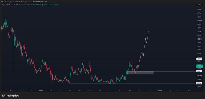 A TradingView chart of ALGO/TetherUS (ALGOUSDT) on Binance's 1D timeframe shows the cryptocurrency testing support near $0.115, with the price action reflecting the post's observation of a messy chart forming a bottom range since February 2025 after a -95% drawdown from ATH.