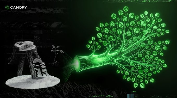 A dark artistic graphic for 'CANOPY' showing a glowing green stylized tree on the right and a black-and-white figure sitting at a desk with computer equipment on the left.