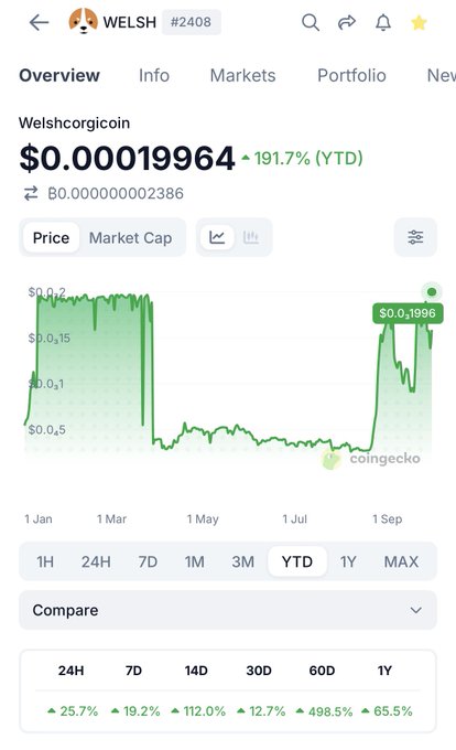 A cryptocurrency price tracker app showing WELSH (Welshcorgicoin) at $0.00019964 with a +191.7% YTD increase, sourced from CoinGecko.