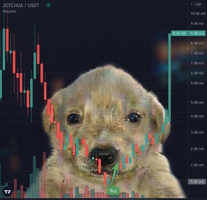 A candlestick chart for the JOTCHUA/USDT trading pair overlaid with a large image of a golden retriever puppy, showing a green 'Buy' arrow at the bottom.