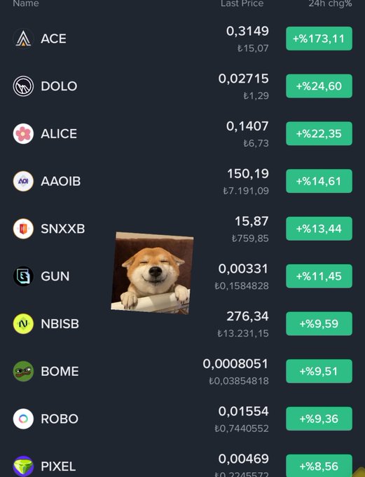 A cryptocurrency trading dashboard displays top gainers like ACE (+173.11%), DOLO (+24.60%), ALICE (+22.35%), and AAOIB (+14.61%), overlaid with a smiling Shiba Inu dog image—likely a meme reaction to the "Day Top 6" milestone referenced in the post.
