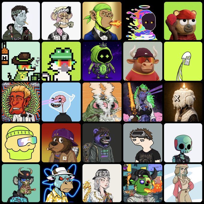 Grid of 25 stylized NFT profile pictures featuring various cartoon characters, pixel art, and anthropomorphic animals including bears, frogs, and robots in a colorful collection.