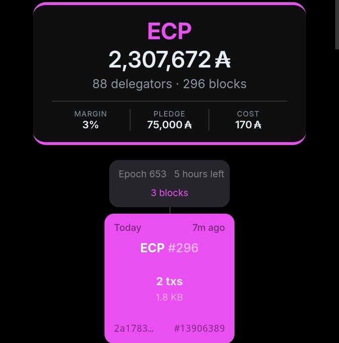 A dashboard panel showing "ECP" with 2,307,672₳, 88 delegators, 296 blocks, a 3% margin, 75,000₳ pledge, and 170₳ cost, with details for "Epoch 653" and "ECP #296" below.