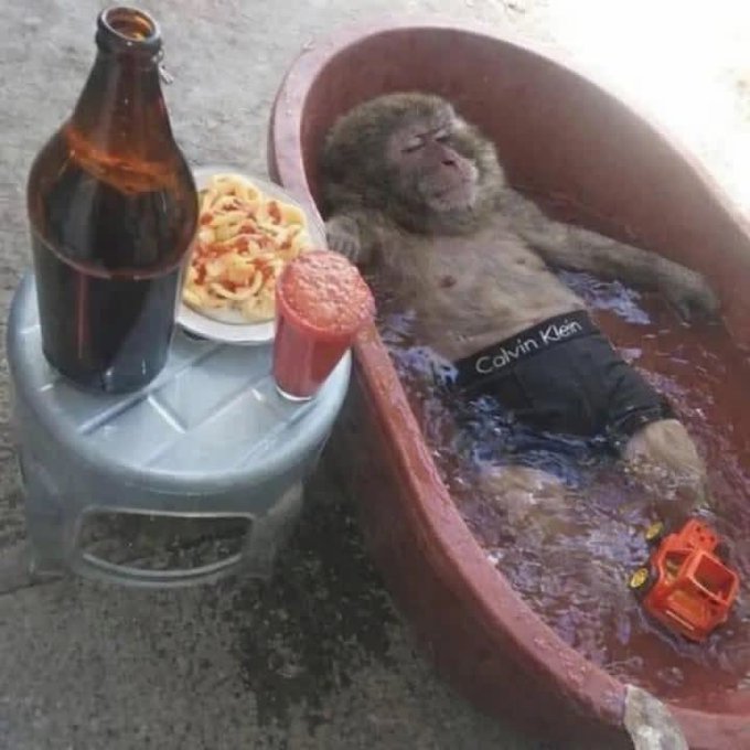 A monkey wearing black 'Calvin Klein' underwear relaxes in a small red tub of reddish liquid, accompanied by a bottle of dark liquid, a plate of pasta, and a red drink on a nearby stool.