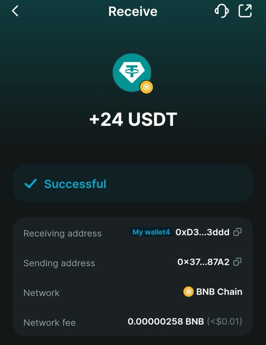 A mobile wallet screen displays a successful cryptocurrency transaction of +24 USDT received via BNB Chain, showing a minimal network fee of 0.00000258 BNB (less than $0.01), confirming the user's web3 payment from August 5th.