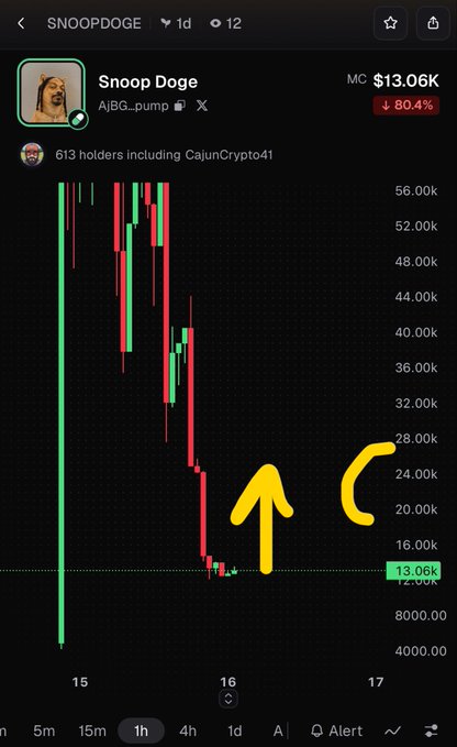 A candlestick chart for the $SNOOPDOGE memecoin (contract AjBG...pump) shows a steep decline from highs above $56K down to $13.06K, with a -80.4% drop displayed. Hand-drawn yellow arrows point upward from the $13K–$14K area, visually emphasizing the post's call for a 50%+ bounce toward the $20K–$24K target.