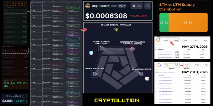 The image displays a computer screen showing an overview of the Cryptolib trading platform's performance over the past 24 hours. It showcases the fluctuations in the crypto market, with Bitcoin experiencing over $836.71 million worth of liquidations, which triggered sharp 5-12% drawdowns across altcoins and memecoins. Despite these fluctuations, on-chain data reveals that long-term Bitcoin remains relatively stable at around $0.53K. The image also contains some text in the post titled "In the past 24 hours, !!!DOGBITCOIN!!!" that is likely related to the Cryptolib trading platform's performance over the past 24 hours and may provide additional context or information about recent events on the platform.