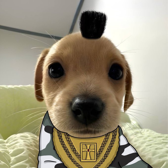 An adorable puppy with a mohawk sports a gold chain and cross necklace, matching the "$BILLY" crypto token's bold "juicy dip" branding and bullish 10M market cap ambitions.