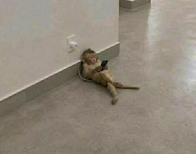 A monkey leaning against a wall on a tiled floor, holding a smartphone that is plugged into a nearby wall outlet, appearing to use the device while lounging.