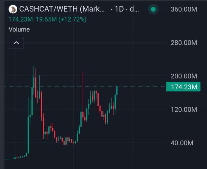 A TradingView chart shows the CASHCAT/WETH trading pair on a 1D timeframe, with current volume at 174.23M and a 12.72% increase (+19.65M) — supporting the post's bullish sentiment toward $cashcat after the token's recent price recovery.