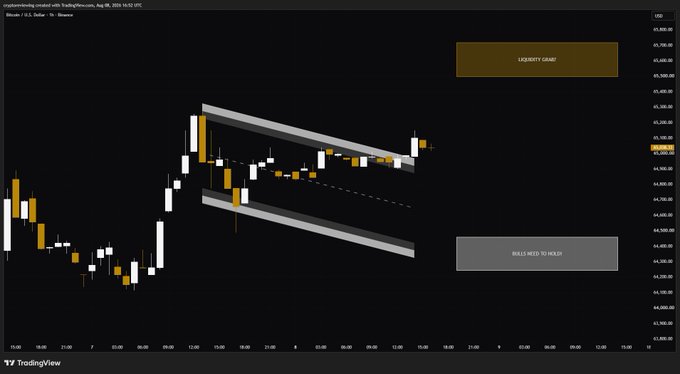 A TradingView candlestick chart of Bitcoin/USD on Binance showing a descending channel pattern with annotations 'LIQUIDITY GRAB' above and 'BULLS NEED TO HOLD' below, dated August 2026.