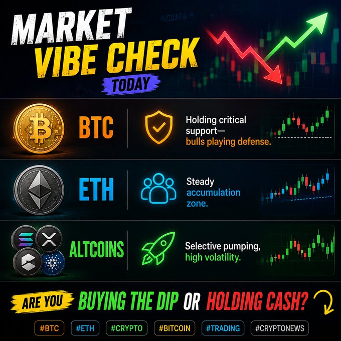 A 'MARKET VIBE CHECK TODAY' crypto infographic showing BTC (holding critical support, bulls playing defense), ETH (steady accumulation zone), and ALTCOINS (selective pumping, high volatility), asking 'ARE YOU BUYING THE DIP OR HOLDING CASH?' with hashtags #BTC, #ETH, #CRYPTO, #BITCOIN, #TRADING, #CRYPTONEWS.