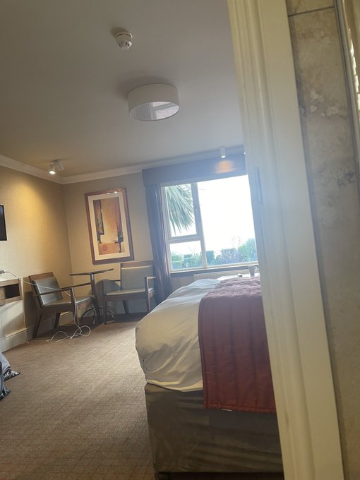 An interior view of a hotel room showing a bed with a maroon runner, a small seating area with chairs and a table, and a window looking out to a palm tree.