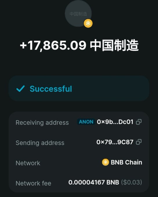 A successful crypto wallet transaction confirmation of +17,865.09 tokens named '中国制造' (Made in China) on BNB Chain, sent to an ANON address.