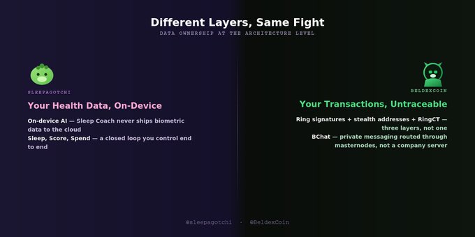 An infographic titled 'Different Layers, Same Fight' compares data ownership approaches, highlighting Sleeapagotchi's 'Your Health Data, On-Device' (on-device AI with no cloud biometric shipping) versus Beldexcoin's 'Your Transactions, Untraceable' (using ring signatures, stealth addresses, and RingCT).