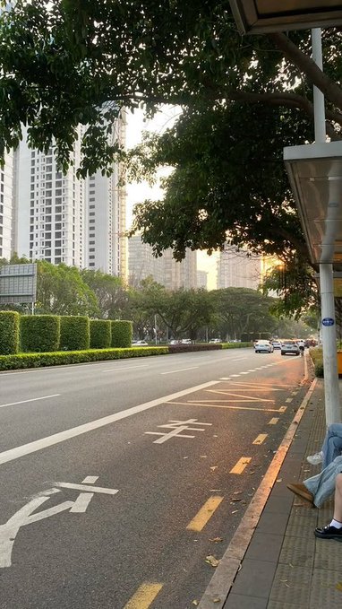 A street-level view of a city road lined with trees and high-rise apartment buildings at dusk, with Chinese characters '专用' painted on the asphalt.