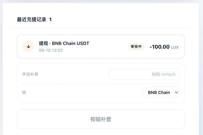 A Chinese-language crypto withdrawal record showing '提现 · BNB Chain USDT' with status '审核中' (under review) for -100.00 LUX, dated 09-10 12:02, on the BNB Chain.