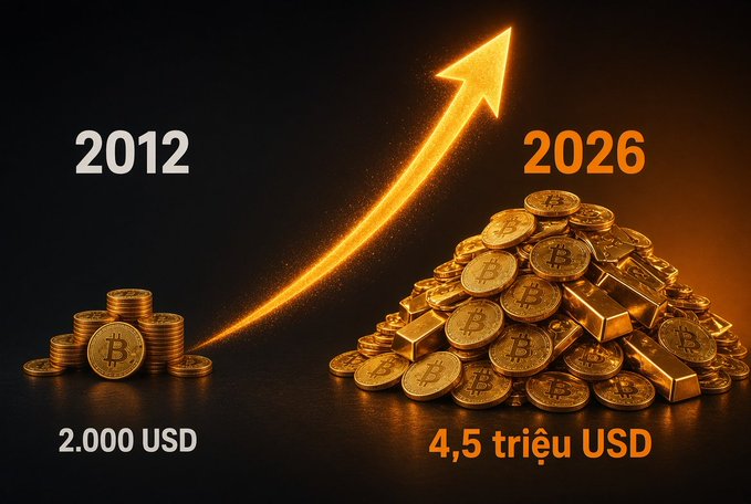 A graphic showing Bitcoin's growth from 2012 to 2026, with a small pile of coins labeled '2.000 USD' growing to a large pile labeled '4,5 triệu USD'.