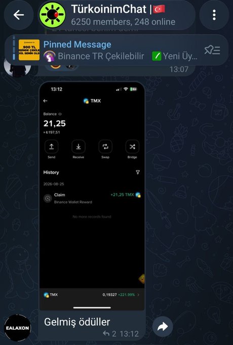 A Telegram chat screenshot from 'TürkoinimChat' (6250 members, 248 online) shows a pinned message and a cryptocurrency wallet interface displaying a TMX balance of 21.25 with a claim history entry of +21.25 TMX.