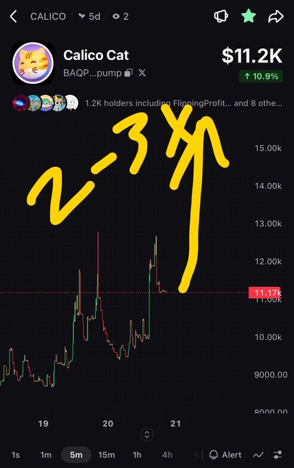A cryptocurrency chart from DexScreener showing the 'Calico Cat' token (BAQP...pump) on the SOL network with a market cap of $11.2K and 10.9% gain, marked with yellow handwritten annotations '2-3X' over the price action.