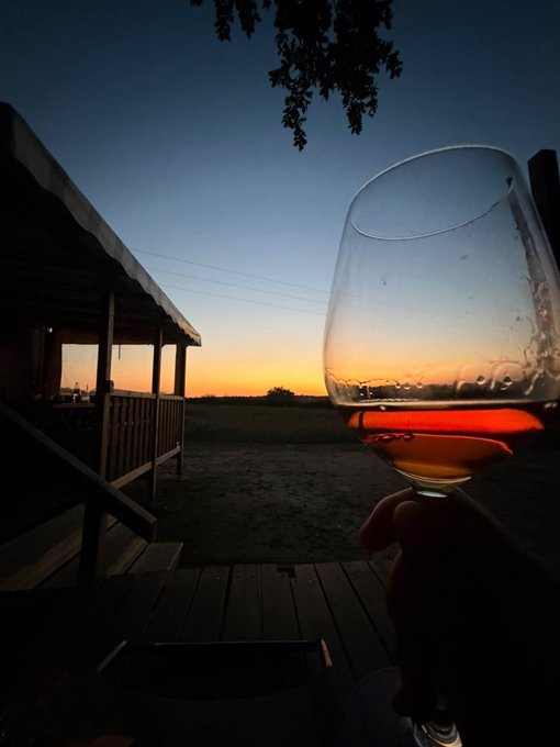 A hand holds up a glass of rosé wine against a sunset sky, viewed from a porch.