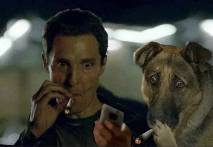 A still from a film showing a man with wide eyes smoking a cigarette while holding a phone, next to a brown dog also looking intently at the screen.