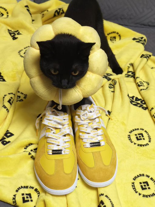 A black cat wearing a yellow flower-shaped cushion collar, sitting behind a pair of yellow sneakers on a matching yellow blanket patterned with "SHARE IN BITCOIN" logos and the brand name "BRANC".