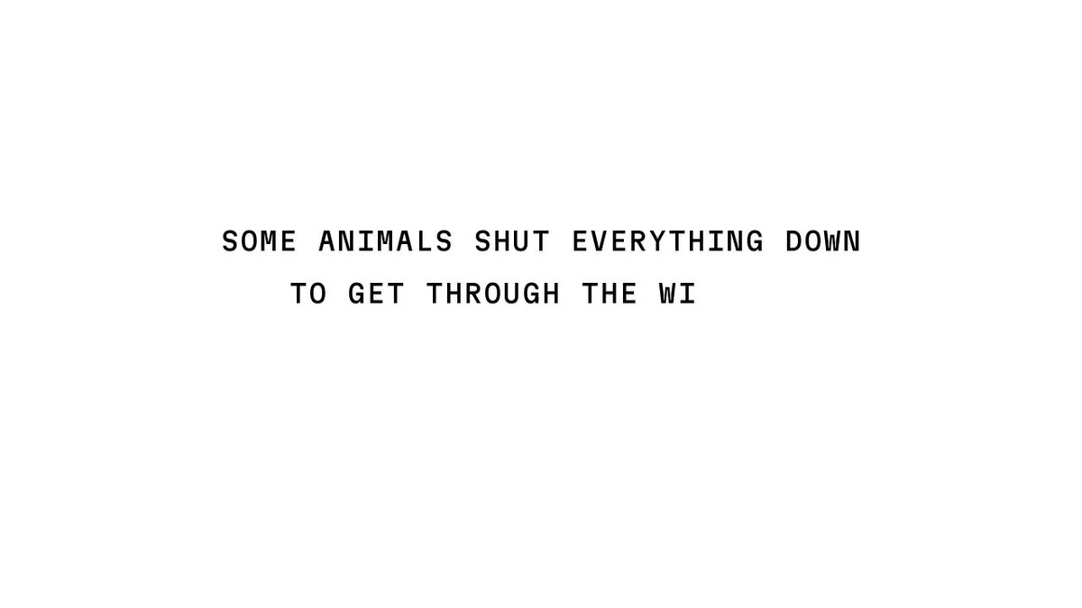 None