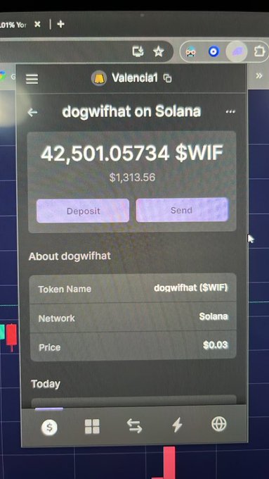 A screenshot of a crypto wallet showing a balance of 42,501.05734 $WIF (dogwifhat) tokens on Solana, valued at $1,313.56, with the token currently priced at $0.03. The modest total value contrasts with the post's nostalgic mention of seeing a second comma—highlighting the early days of volatile, life-changing gains in crypto trading.