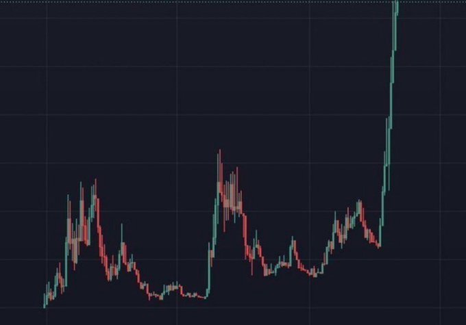 A candlestick chart on a dark background shows a relatively flat price action followed by a sharp vertical spike upward on the far right, illustrating volatile memecoin price behavior in response to the question "Which memecoin will 1000X?" No text, tickers, or numerical values are visible on the chart.