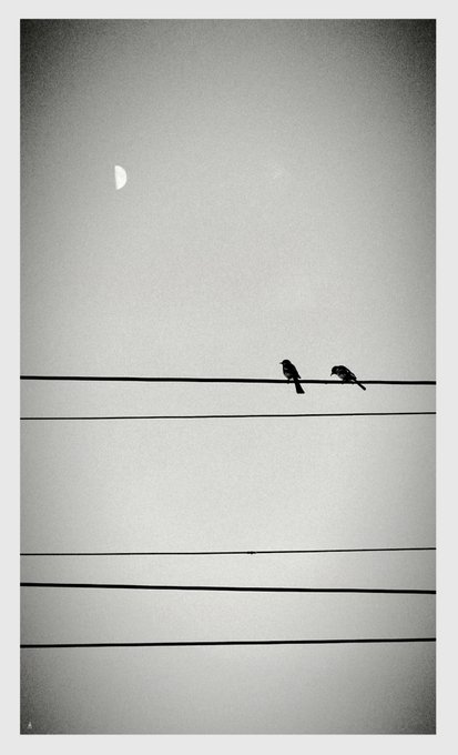 A black and white minimalist photograph showing two birds perched on a power line beneath a crescent moon in an overcast sky.