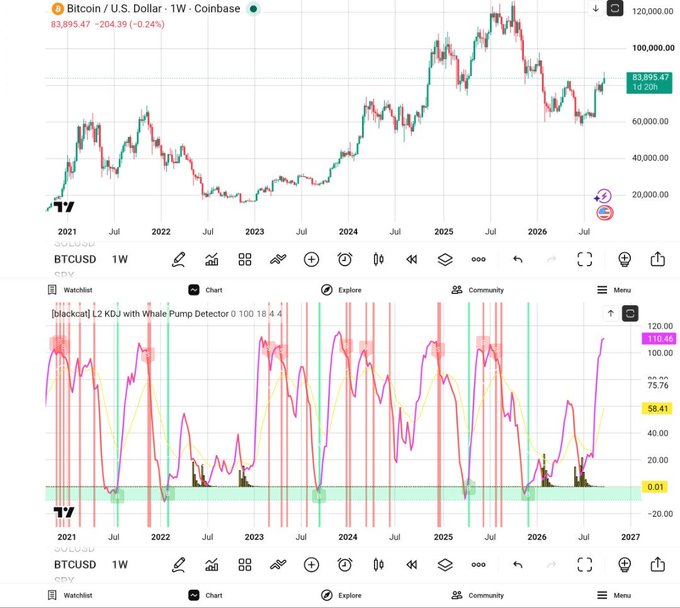 TradingView charts display BTCUSD (Bitcoin/U.S. Dollar) on a 1-week timeframe, with the top chart showing Bitcoin's price action reaching around $83,895.47, and a lower chart showing a custom 'Whale Pump Detector' indicator.
