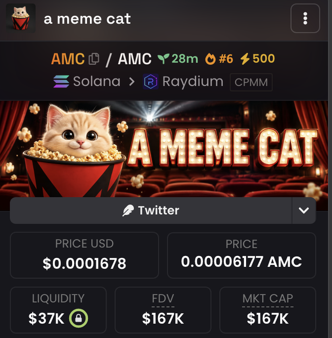 A meme cryptocurrency token called "a meme cat" (ticker AMC) launched 28 minutes ago on Solana via Raydium, showing a price of $0.0001678 USD with a market cap and FDV of $167K. The promotional post pairs the AMC ticker with AMC stock while offering to send $10,000 to 333 retweeters, and the image displays the token's on-chain metrics typical of newly launched meme coins often targeted in such giveaway scams.