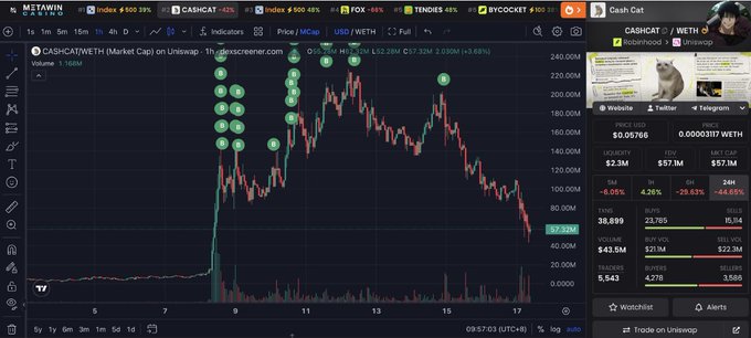 A TradingView chart for CASH/USDT on Uniswap showing a sharp price spike and decline, with a sidebar displaying tokenomics, a cat avatar, and social links.