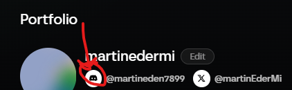 A profile section titled 'Portfolio' for user 'martinedermi' with red annotations circling the Discord icon and crossing out the handle.
