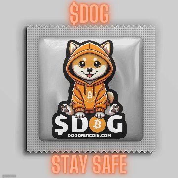 A Shiba Inu dog wearing an orange hoodie sits on a silver packet labeled '$DOG' and 'DOGOFBITCOIN.COM', with neon text reading '$DOG' above and 'STAY SAFE' below.