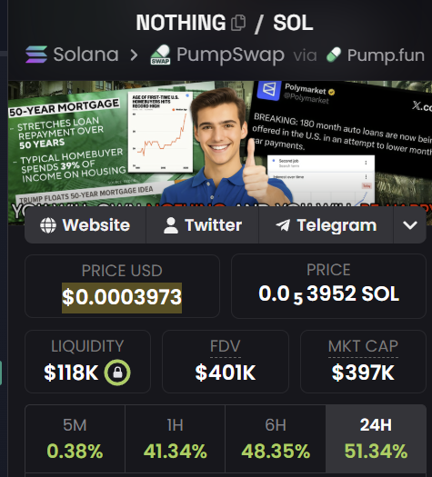 A cryptocurrency page for 'NOTHING / SOL' token on PumpSwap via Pump.fun shows a price of $0.0003973 / 0.0053952 SOL, with $118K liquidity, $401K FDV, and $397K market cap, featuring an image of a smiling man giving a thumbs up.