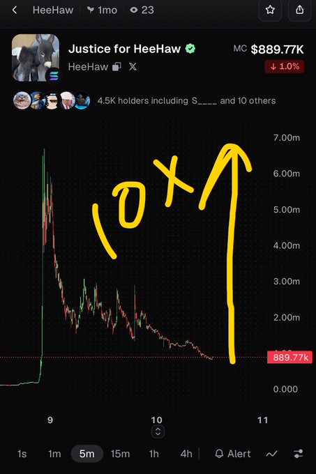 Trading chart for the meme coin 'Justice for HeeHaw' showing a market cap of $889.77K (down 1.0%), with hand-drawn yellow annotations indicating a '10x' potential upward move.