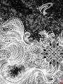 A black and white abstract fractal art image featuring swirling, intricate patterns with a small crescent moon shape visible at the top.