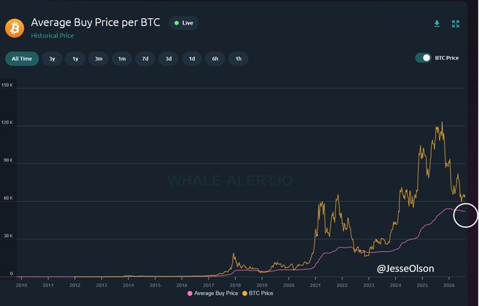 The image is a line chart from Whale-Alert.io titled "Average Buy Price per BTC" showing historical price data from 2010 to 2026, with two plotted lines—a pink "Average Buy Price" line and a yellow "BTC Price" line—visually illustrating how BTC's price has repeatedly dipped below the average buy price during each bear market, currently sitting around the $51,985 mark circled on the right.